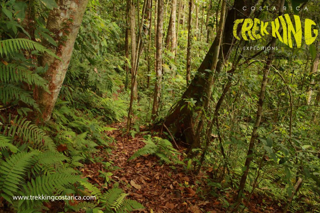 Hiking FUDEBIOL Reserve
